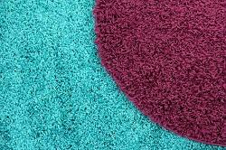 Commercial Carpet Cleaner in Islington, N1