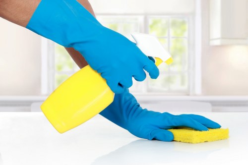 Local carpet steam cleaning service for homes and offices in Islington