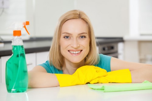 Commercial gutter cleaning for an Islington shopfront or office