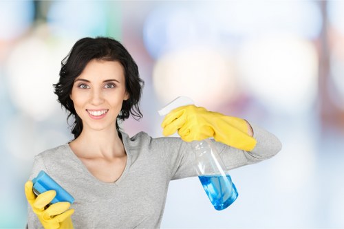 Domestic cleaning tasks for kitchens and bathrooms in Islington homes