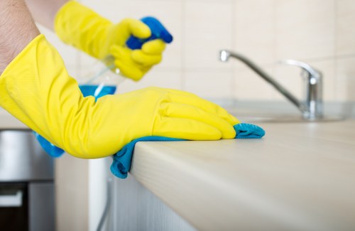 Kitchen and bathroom upkeep during a regular cleaning visit
