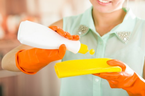 Bathroom and oven cleaning during a tenancy handover