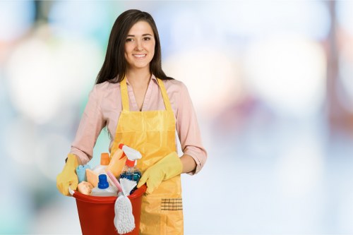 Detailed move in cleaning service for a period property in Islington
