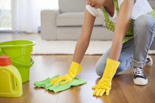 Deep cleaning process for pet odour in a carpeted hallway
