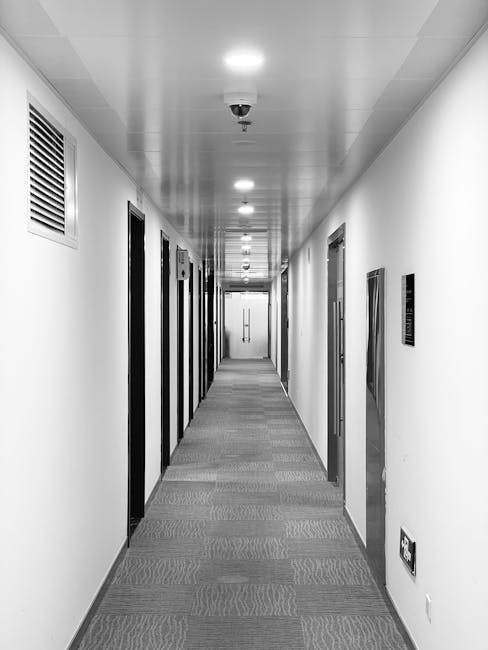 A long, narrow corridor in a commercial office building featuring white walls and a light-colored carpeted floor with a subtle striped pattern. The ceiling is fitted with evenly spaced recessed lighting fixtures, providing bright illumination throughout the corridor. Along the left wall, there are several black-framed doors with metallic handles, while on the right wall, there are rectangular metallic panels, possibly for access or signage. Ventilation grilles are visible near the ceiling on the left side. The space appears clean, well-maintained, and free of dust or clutter, consistent with professional sanitisation and routine cleaning practices. This image reflects surface cleaning and upkeep typical of an office environment, illustrating the professional cleaning services provided by Carpet Cleaning Islington for commercial spaces like offices in Canonbury, Highbury, and Islington.