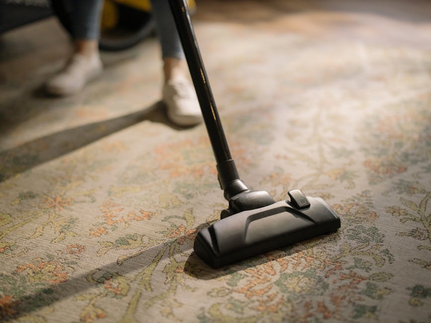 Close-up view of a modern, black vacuum cleaner head actively cleaning a patterned, wool-blend rug with intricate floral designs in a well-lit room. The vacuum is positioned at a slight angle, with the handle extending vertically towards the top of the image and the cleaning head firmly pressed against the multicolored surface. The rug shows a clean, dust-free surface with vibrant, detailed motifs, highlighting thorough surface cleaning. In the background, a pair of white sneakers and a person's lower legs can be seen, suggesting a domestic or professional setting. The lighting is natural, casting soft shadows, emphasizing the cleanliness and well-maintained condition of the carpet. The scene directs focus to the process of surface cleaning, aligning with the topic of same-day stain removal and comprehensive sanitisation facilitated by Carpet Cleaning Islington, as part of their domestic cleaning services.